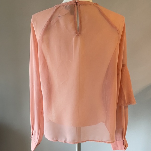 NWT ASOS RAW RUFFLED SHEER BLOUSE. Long sleeve. Crew neck peachy pink size 8 - Picture 3 of 15